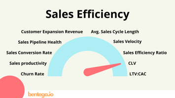 Sales Efficiency