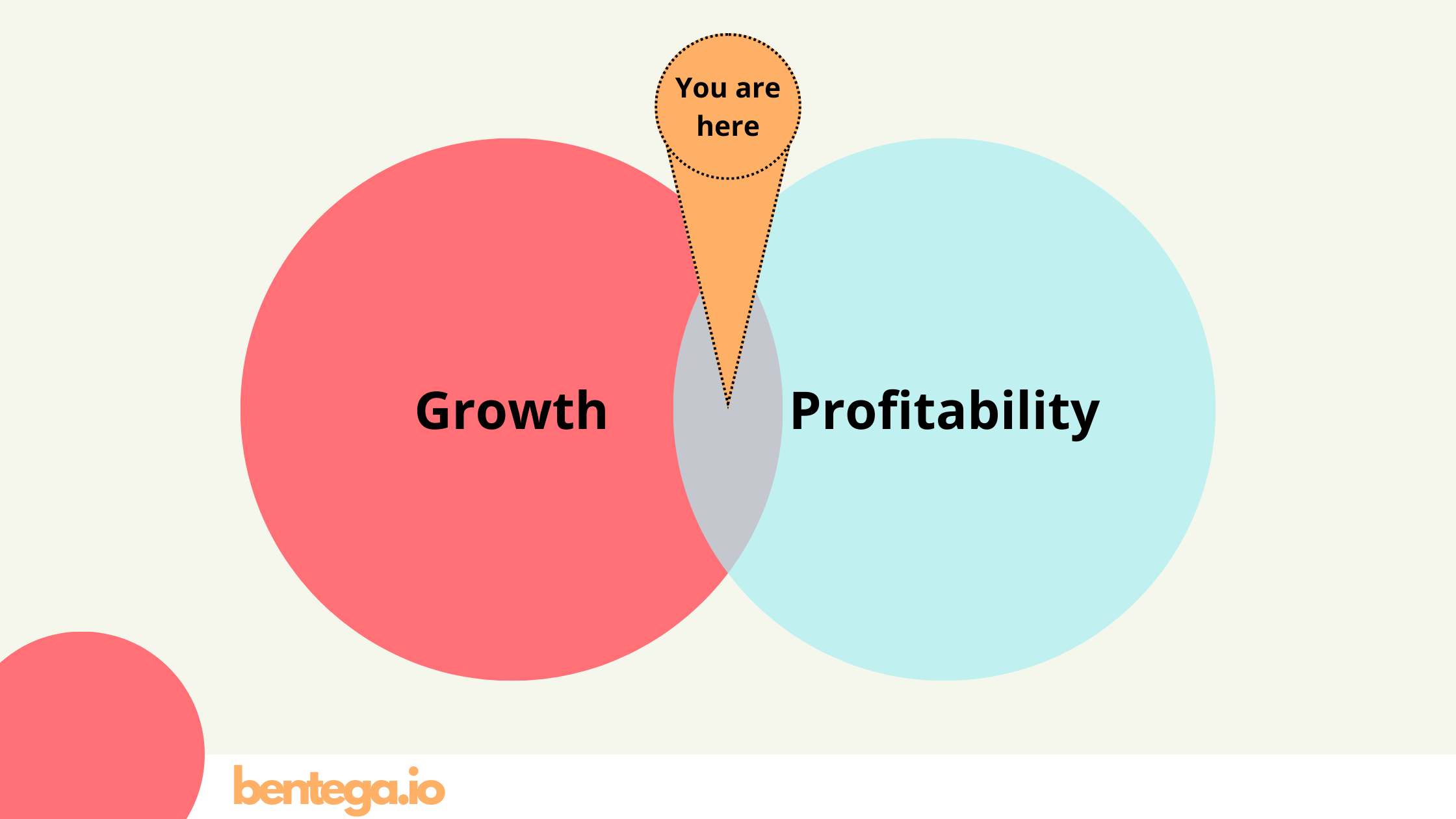 Growth vs Profitability